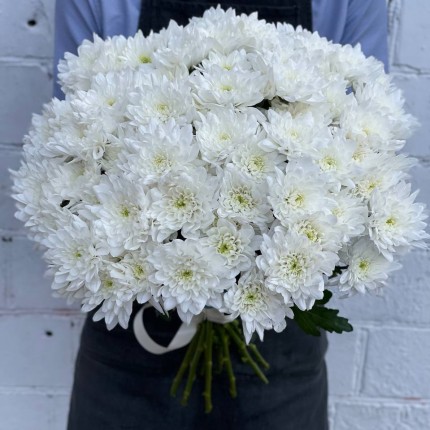 Белая кустовая хризантема - купить с доставкой в по Зиме