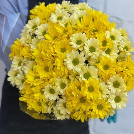 желтая кустовая хризантема - купить с доставкой в по Зиме